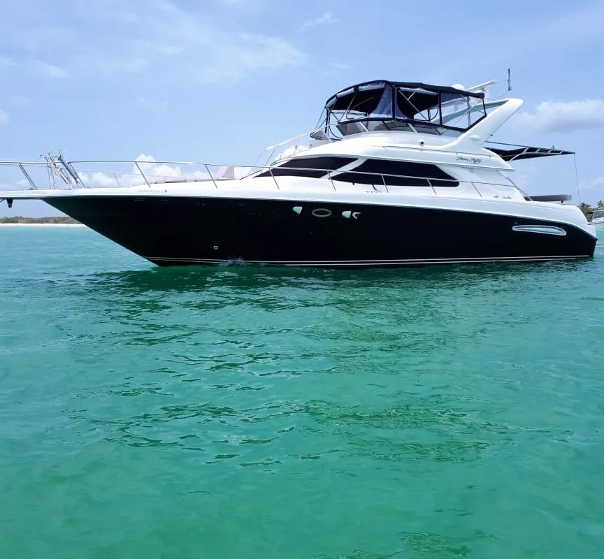 Maestro Sea Ray 46 — foto 2 de 4