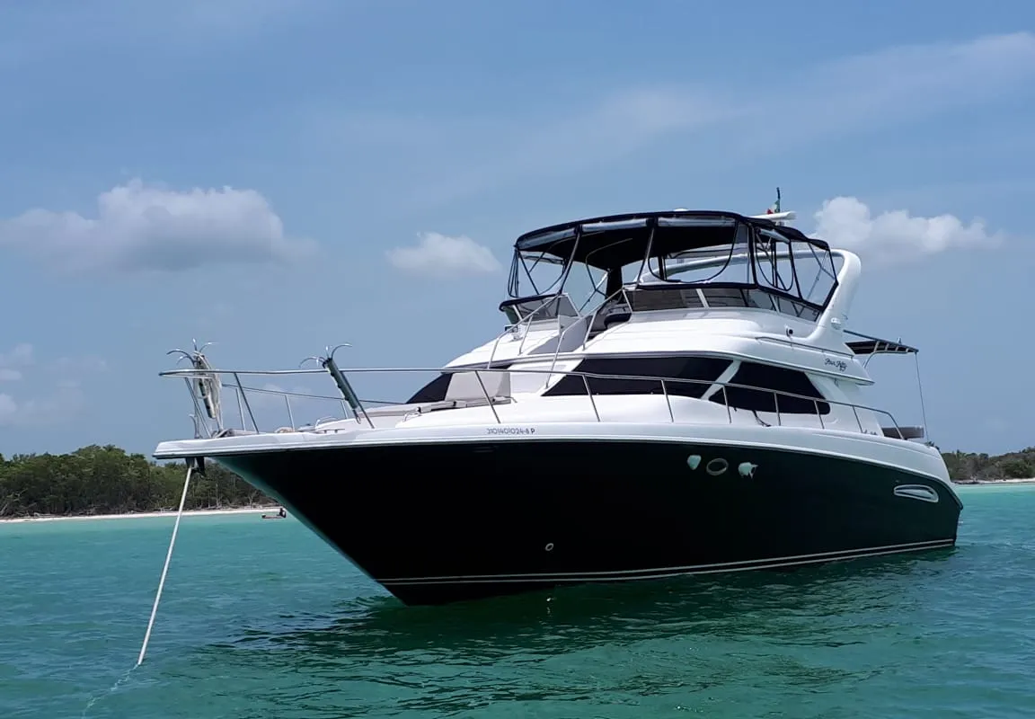 Maestro Sea Ray 46 — foto 1 de 4