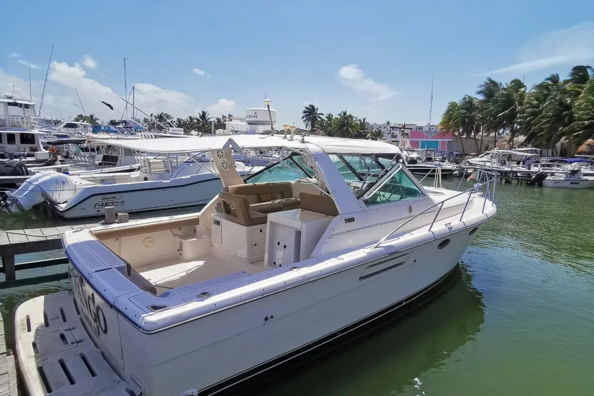 Tango Tiara 34 — foto 2 de 6