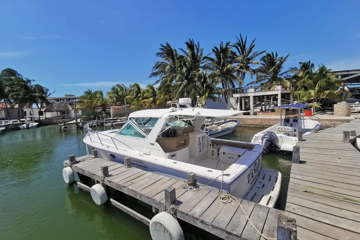 Tango Tiara 34 — foto 4 de 6